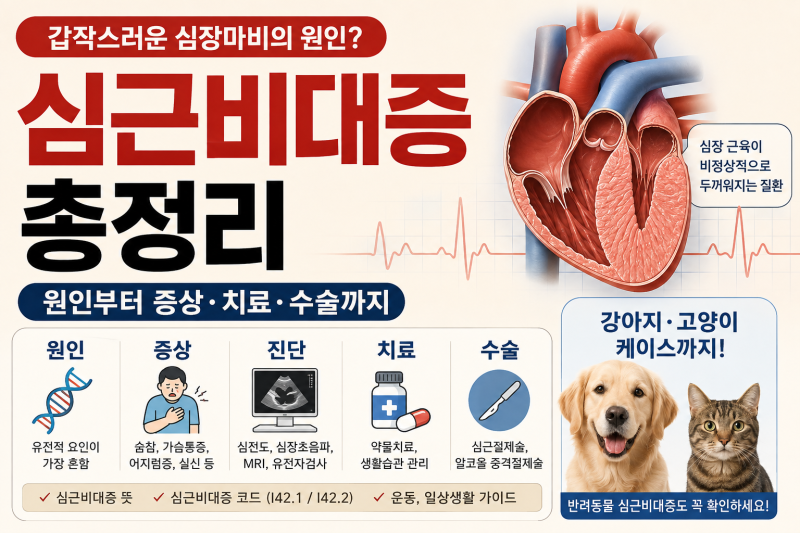 심근비대증 원인부터 증상·치료·수술까지 총정리｜뜻, 진단, 코드, 강아지·고양이 케이스....