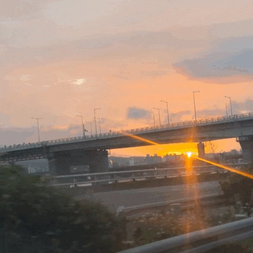 [아이와 대전 당일치기 여행] 태평소국밥, 성심당 롯데백화점 대전점, 국립중앙과학관, 우주....