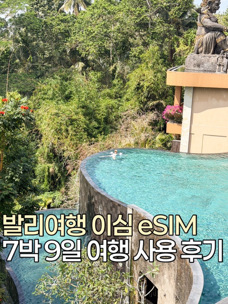 인도네시아 발리여행 eSIM 이심 추천 로밍도깨비 7박 9일 사용후기 할인방법 8월 발리 날씨