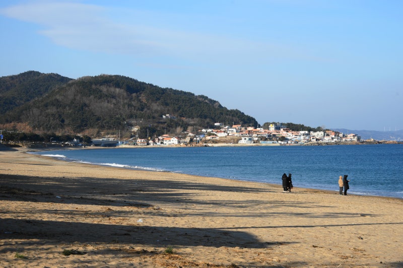 〔영덕군〕 장사 해수욕장