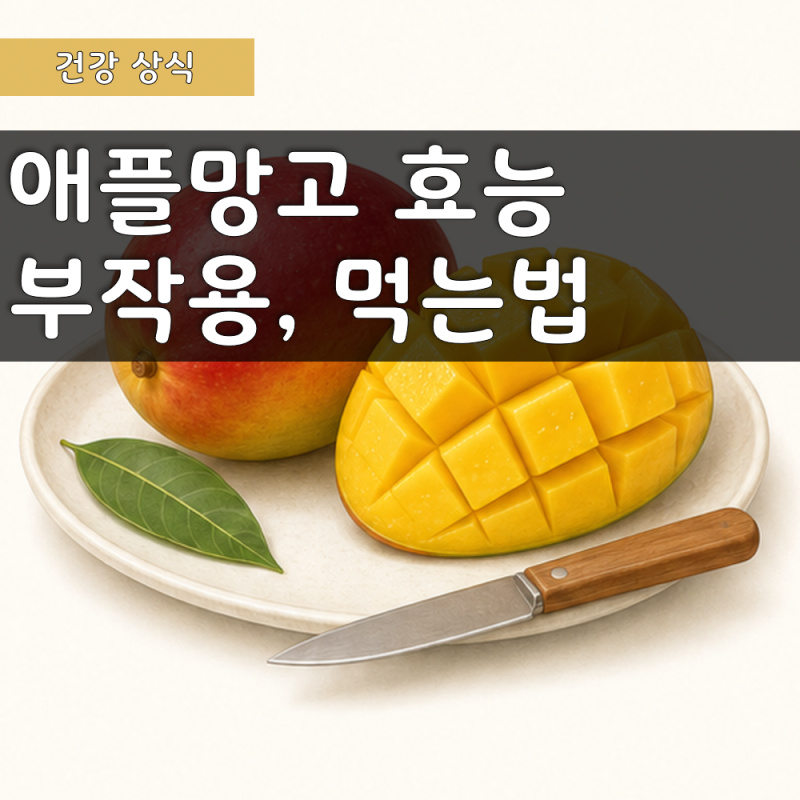 애플망고 효능 부작용 먹는 방법, 후숙까지 정리