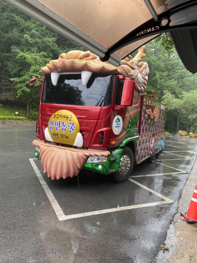 태백 가볼만한 여행지 추천,태백 용연동굴