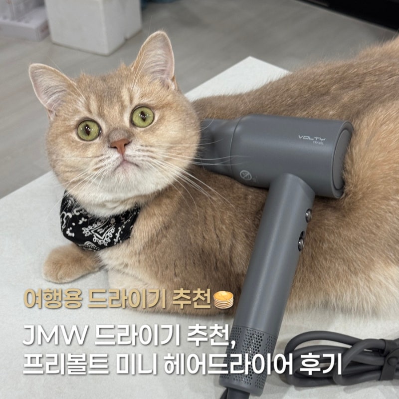 JMW 드라이기 추천 여행용드라이기 프리볼트 미니 헤어드라이어 후기