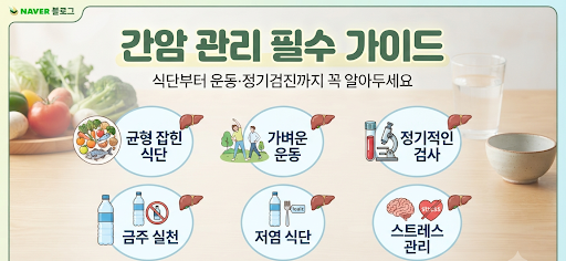 간암 관리 어떻게 해야 할까? 식단부터 운동·정기검진까지 꼭 알아두세요