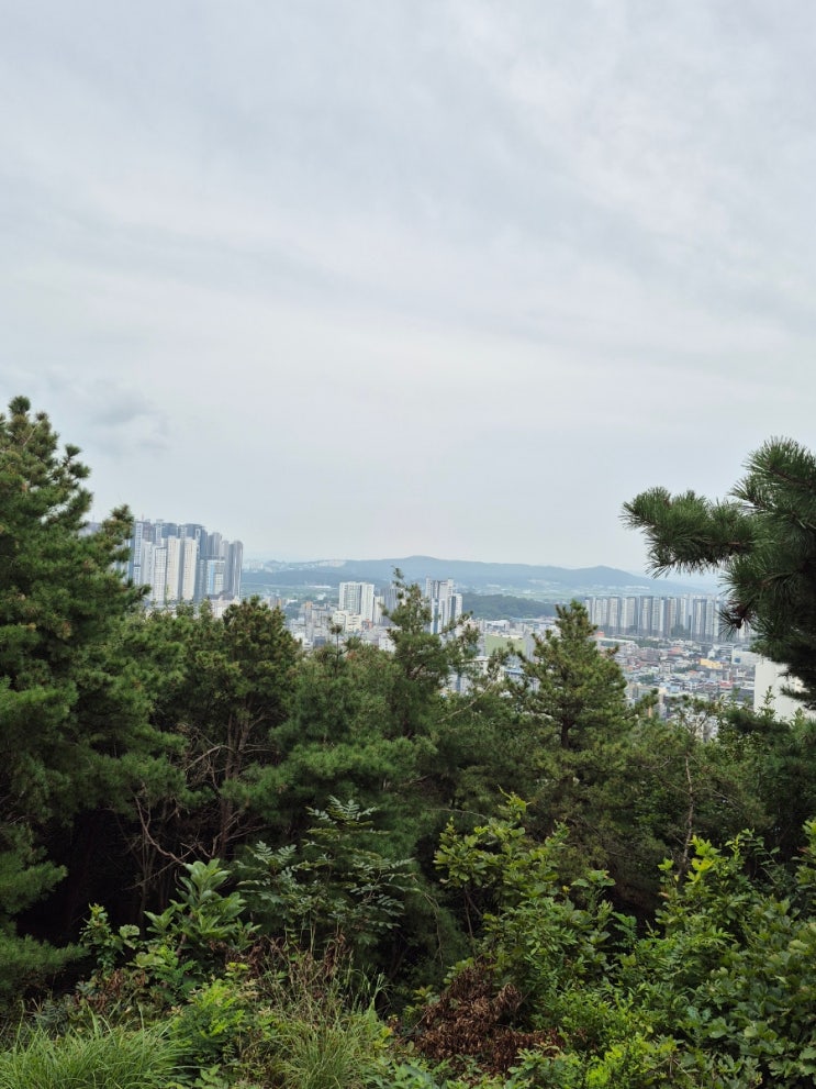 늦은 오후에 망현산에서 본 이천시내