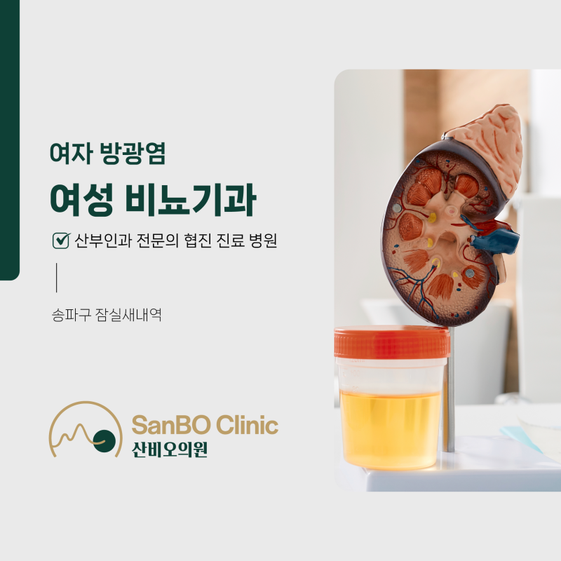 송파구 잠실새내역 여자 방광염 여성 비뇨기과, 산부인과 전문의 협진 진료 병원