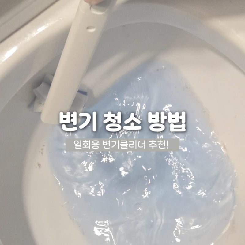 변기 핑크 곰팡이 제거 방법! 일회용 변기클리너 솔직 후기