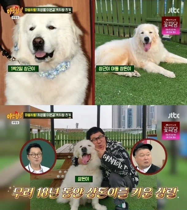 "나 올 때까지 버텼다" 지상렬, 18년 키운 상근이 아들 '상돈이' 마지막 순간에 눈물 쏟은 진짜....