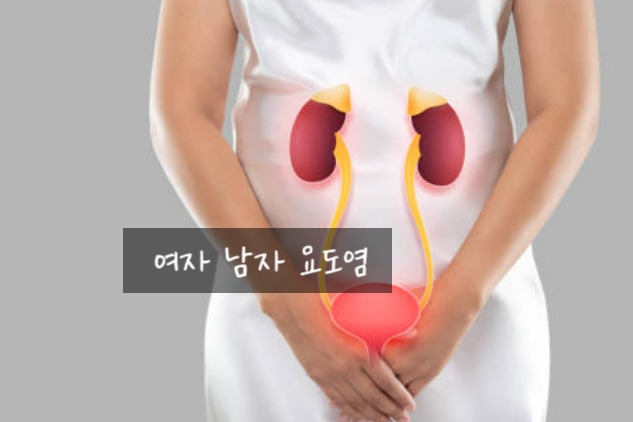 소변 볼 때 따갑다면? 여자요도염증상 남자요도염증상