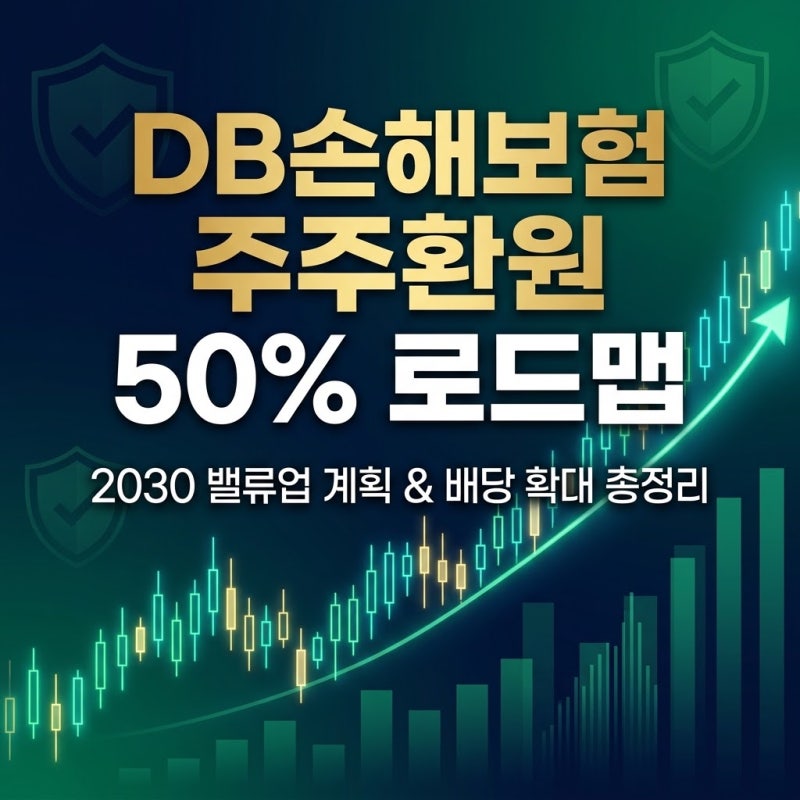 DB손해보험 주주환원 50% 로드맵과 밸류업 총정리
