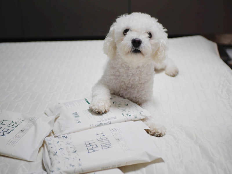 [강아지 용품 추천] 산책 후 1장으로 끝! 털 사이 오염과 비린내까지 잡아주는 '페피릴리프 대....
