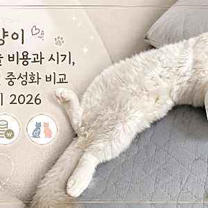 고양이 중성화수술 비용과 시기, 수컷 암컷 고양이 중성화 비교 총정리 2026