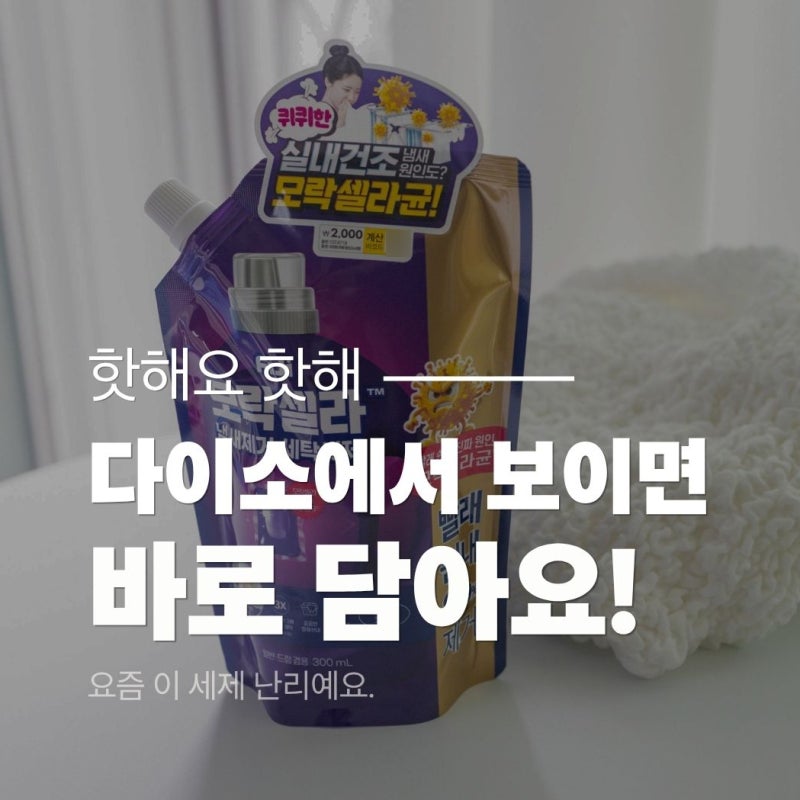 여름 리빙템 원픽! 요즘 핫한 다이소 모락셀라 세탁세제