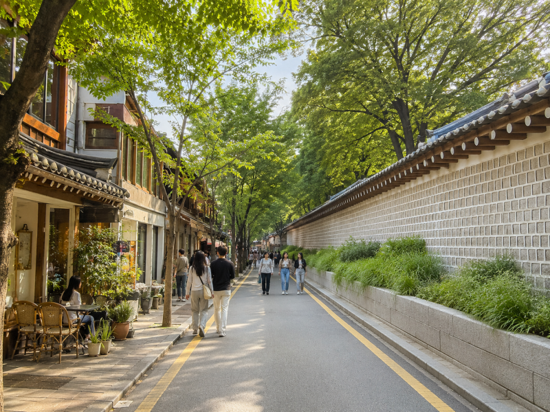 서울 가볼만한곳 서순라길 놀거리 비 오는 날 좋은 치유 데이트 코스!!! 종묘 돌담길부터 카....