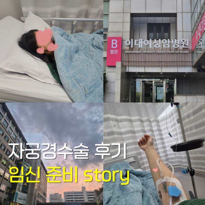 이대목동병원 자궁경 수술 후기｜자궁용종 제거 비용, 통증, 이주혜 교수님