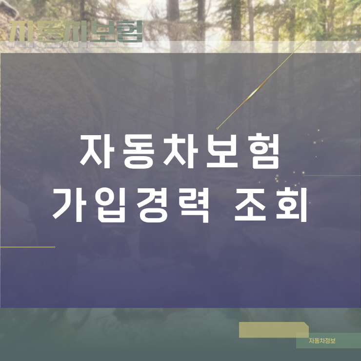 자동차보험가입경력 조회 방법과 숨은 경력으로 보험료 절약하는 팁