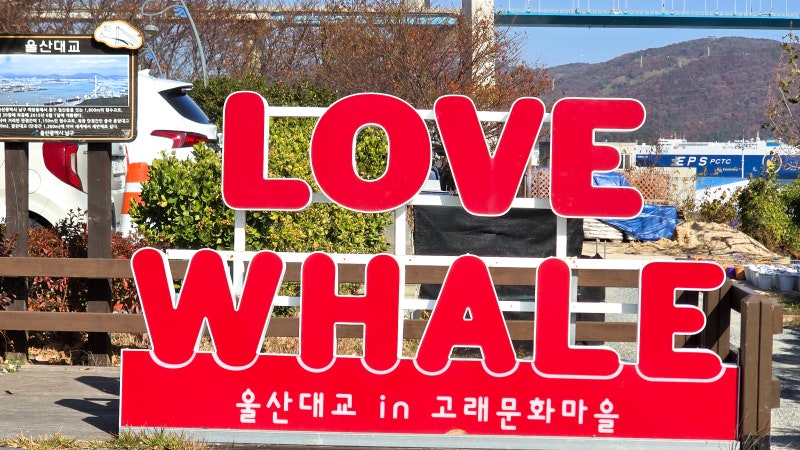 장생포 가볼만한곳 고래문화마을 옛마을부터 모노레일까지