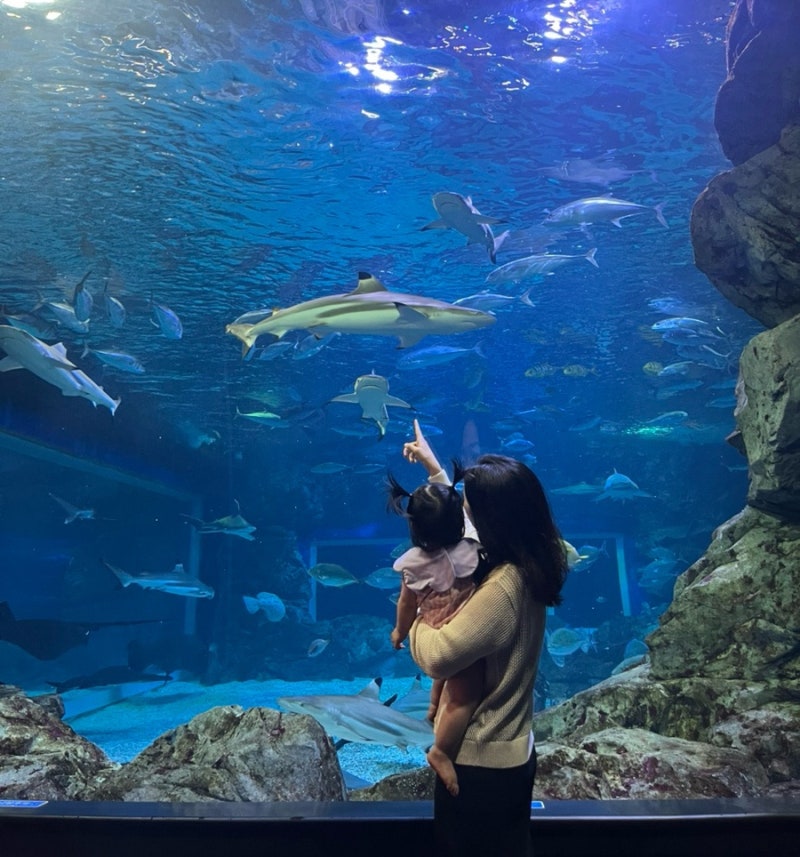 [수원 영통] 9개월 아기랑 갈만한 곳 아쿠아플라넷 광교, 베트남음식점 갤러리아백화점 땀땀