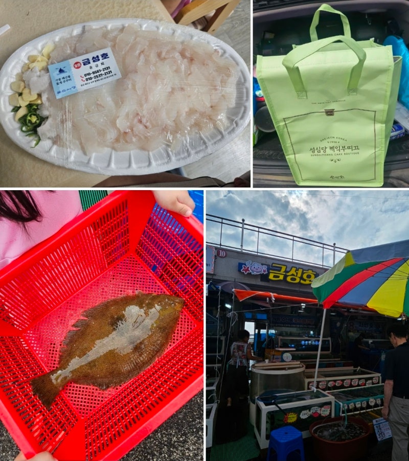 태안 몽산포수산시장 금성호|몽산포 해수욕장 근처 광어회 포장 솔직후기(+성심당 보냉가방 ....