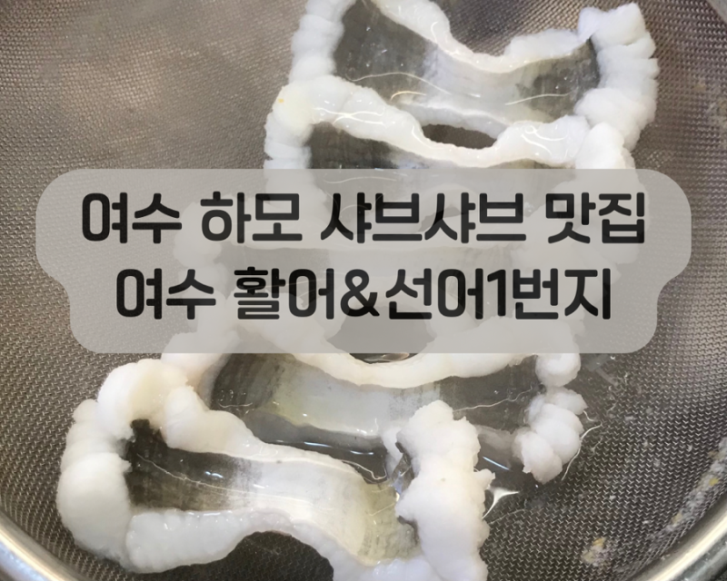 여수 하모 샤브샤브 맛집 활어&선어1번지, 여름 별미 하모 솔직 후기
