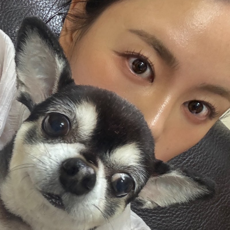 래쉬애딕트 속눈썹 영양제 추천 | 4년 넘게 쓴 내돈내산 후기 | 저렴하게 구매하는 법
