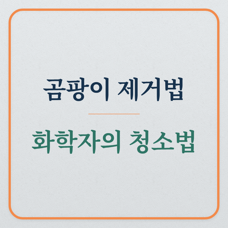 곰팡이 제거 완벽정리 (곰팡이,계면활성제,과탄산소다)