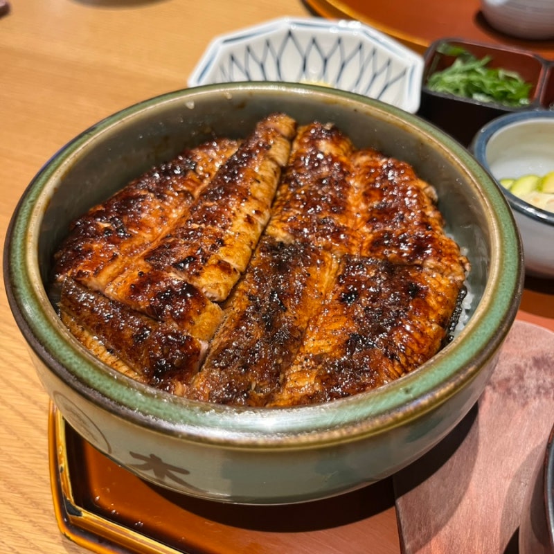 잠실 롯데월드몰 식당 ‘해목’ 후기 (장어덮밥)