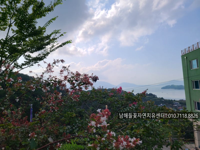 유방암 바로알기 #32유방암 림프절 전이, 몇 개면 위험할까요? 전이되면 겨드랑이 림프절을 ....