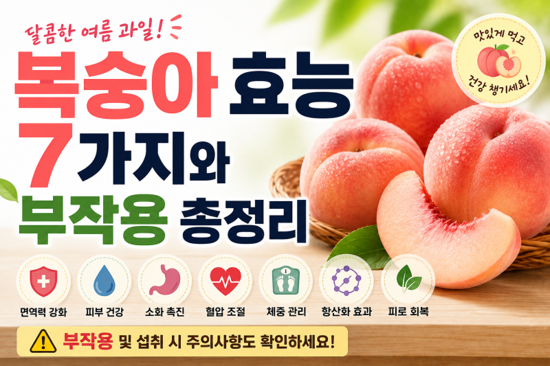 복숭아 효능 7가지와 부작용 총정리(+백도·황도 영양 성분 비교, 보관법)