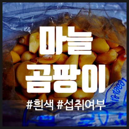 깐마늘 곰팡이, 마늘 곰팡이 흰색 가열 섭취 가능?