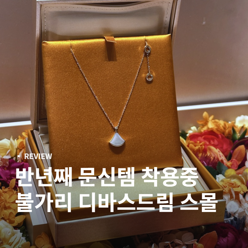 불가리 디바스드림 목걸이 구매후기 | 3월에 사서 반년째 문신템처럼 착용 중