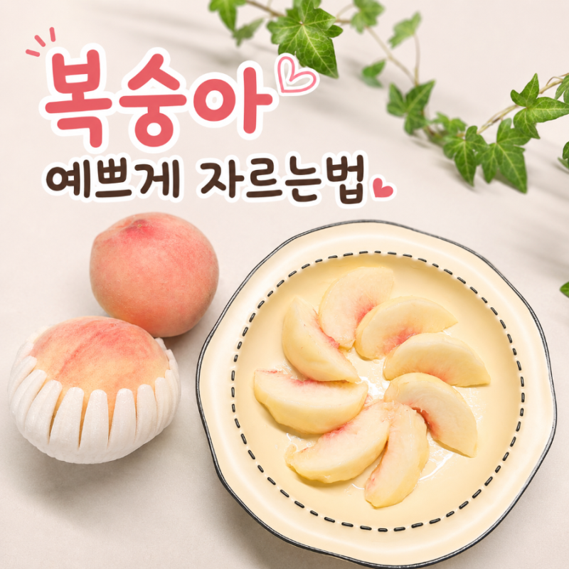 복숭아 효능과 후숙 방법, 예쁘게 자르는법까지 한 번에