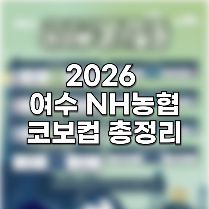 2026 여수 코보컵 일정 총정리 경기일정 참가팀 조편성 교통편