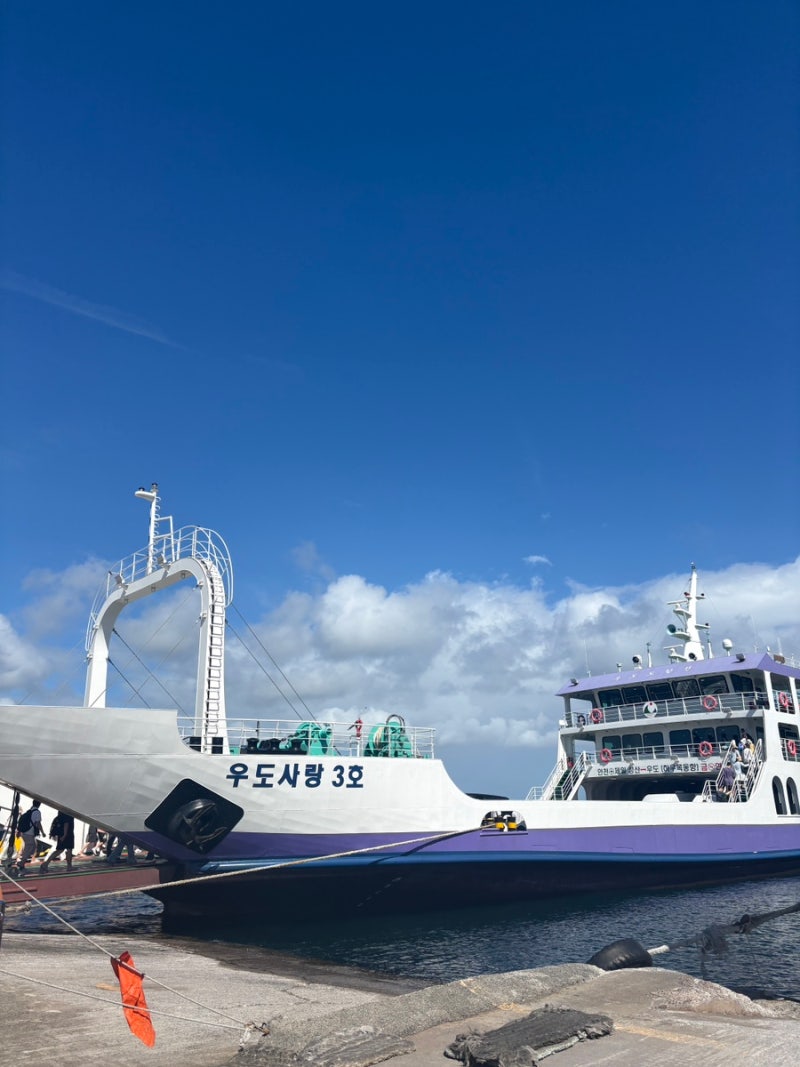 제주도 우도ㅣ우도 배시간ㅣ우도 탑승시간ㅣ여름 우도여행ㅣ우도 맛집ㅣ