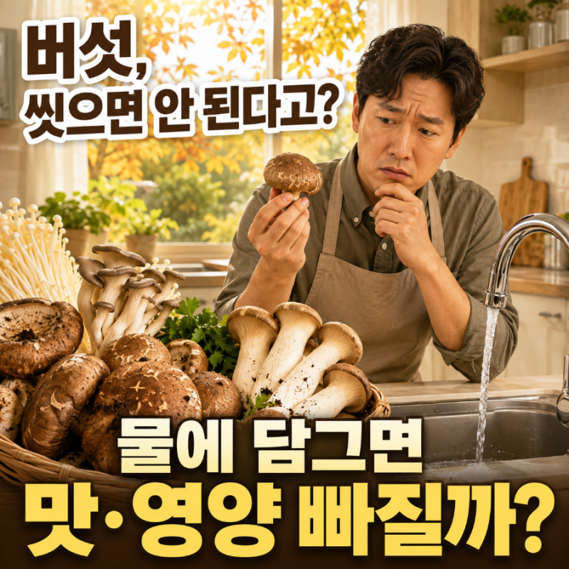 버섯은 씻으면 안 된다고요? 물에 담그면 정말 맛과 영양이 빠질까?