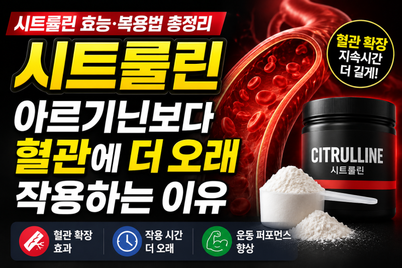 시트룰린 효능·복용법 총정리 — 아르기닌보다 혈관에 더 오래 작용하는 이유