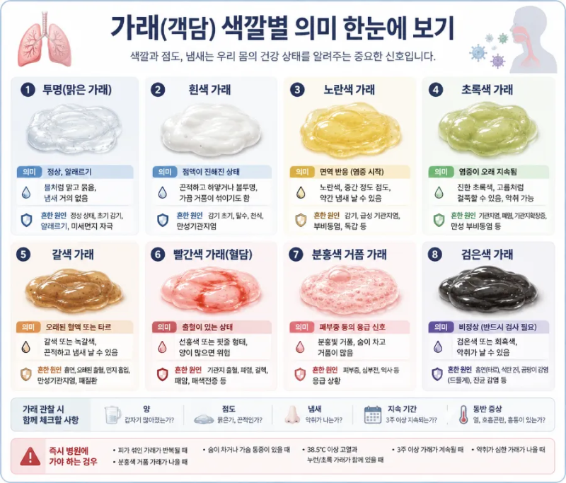 "기침할 때 나오는 가래, 가래 색깔로 알아보는 건강 신호" 가래 색깔별 의미와, 가래 역할, ....