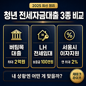 "청년 전세자금대출 종류 총정리"｜버팀목 · LH 전세임대 · 이자지원 한눈에 비교