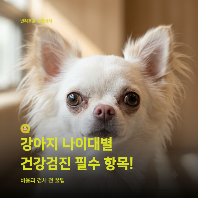 강아지 건강검진 주기와 나이대별 필수·권장 항목 총정리 (비용 가이드)
