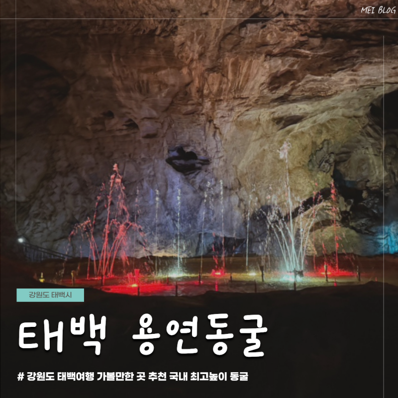 강원도 태백 여행 가볼만한곳 국내 최고 높이 자연동굴 용연동굴 용연열차 이색 여행지 추천