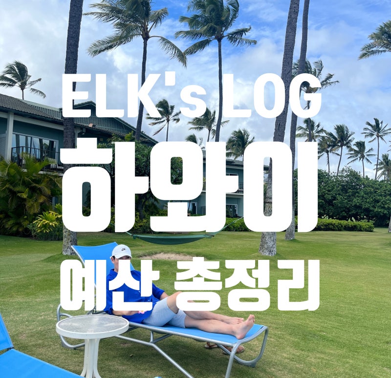 하와이 신혼여행 6박 7일 일정과 비용 총정리 (일주일 870만원으로 끝?)