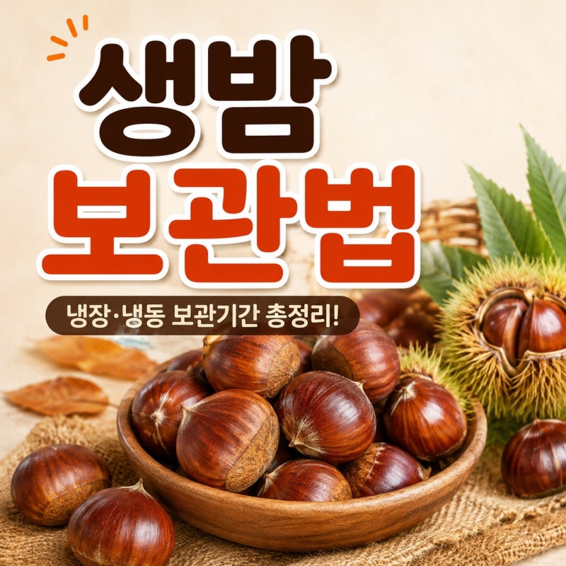 생밤 보관법 냉장 냉동 보관기간 오래 두고 먹는 방법