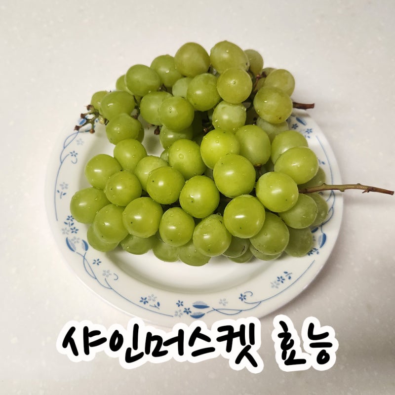 샤인 머스켓 몰랐던 효능 4가지와 세척 보관 노하우