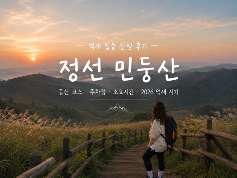 정선 민둥산 등산 코스 억새 일출 산행 후기 • 주차장·소요시간·2026 억새 시기