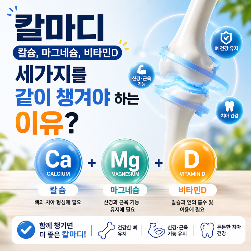 칼마디 칼슘, 마그네슘, 비타민D 세가지를 같이 챙겨야 하는 이유?