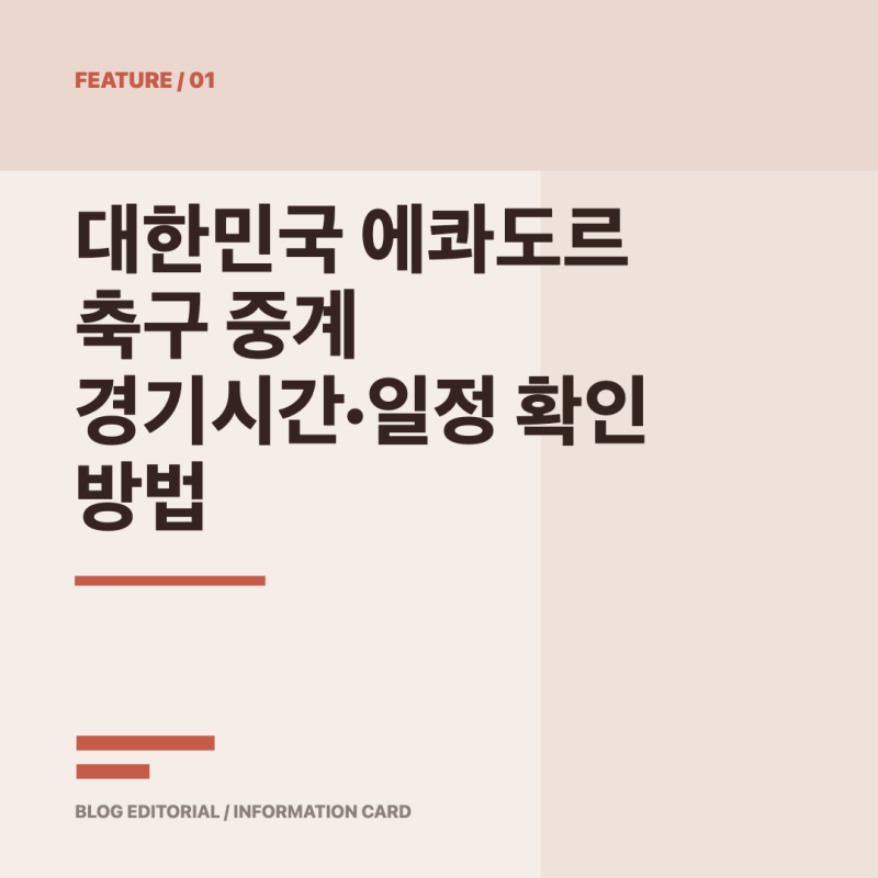 대한민국 에콰도르 축구 중계 경기시간·일정 확인 방법