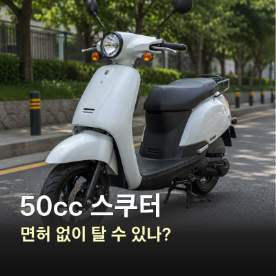 50cc 스쿠터 면허 없이 탈 수 있을까? 자동차 면허와 원동기 면허 기준