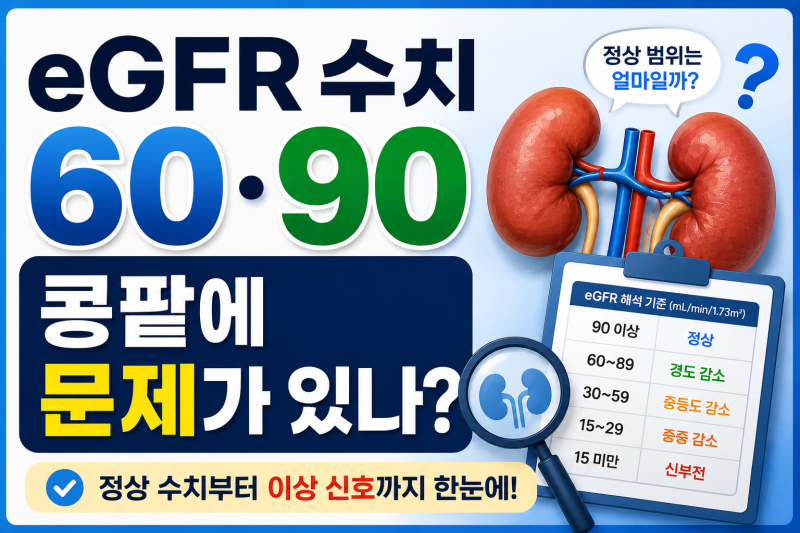 eGFR 수치 정상범위는? 60·90면 정상인가?