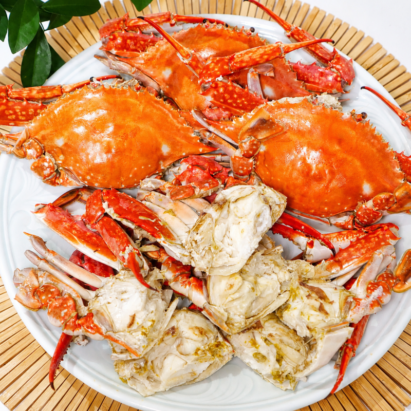 가을엔 암꽃게 말고 숫꽃게 드세요! 살 꽉 찬 꽃게찜 꽃게 찌는법과 시간 손질법