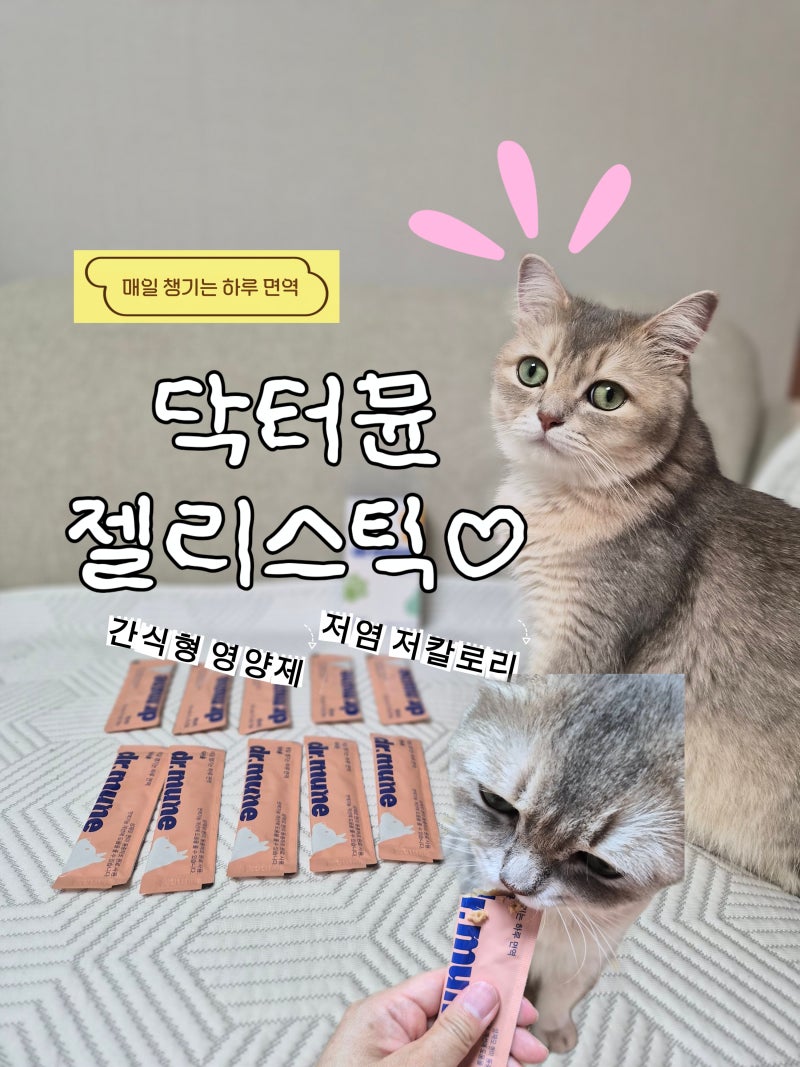 [리뷰]닥터뮨 젤리스틱 고양이닭고기츄르 후기 안 흐르는 애완동물면역영양제 꿀팁